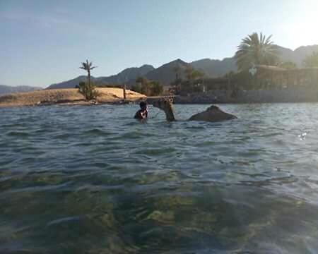 Sebaii Camp السباعى كامب شاطئ الترابين بجوار ويت بالس Nuweiba` Exterior foto