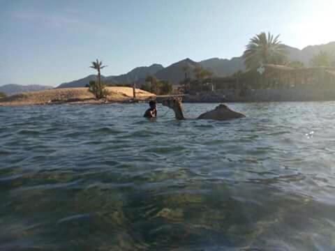 Sebaii Camp السباعى كامب شاطئ الترابين بجوار ويت بالس Nuweiba` Exterior foto