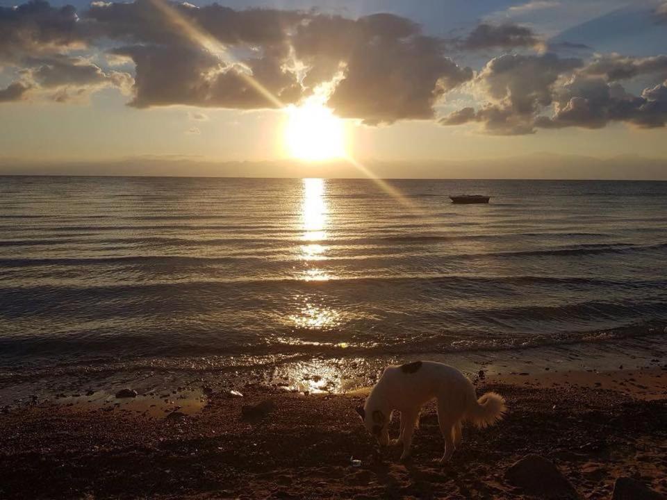 Sebaii Camp السباعى كامب شاطئ الترابين بجوار ويت بالس Nuweiba` Exterior foto