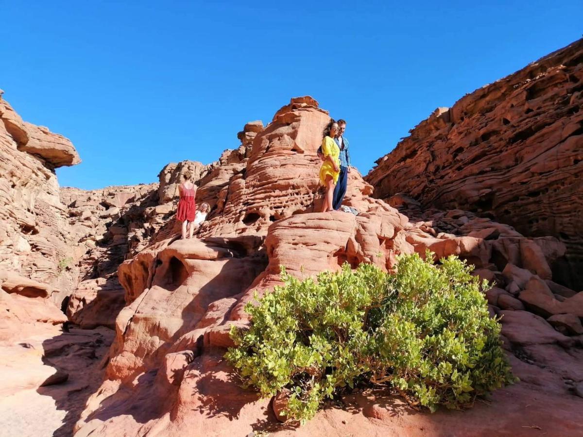 Sebaii Camp السباعى كامب شاطئ الترابين بجوار ويت بالس Nuweiba` Exterior foto