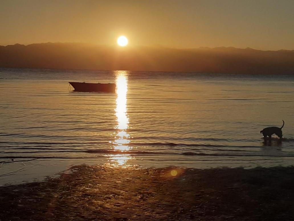 Sebaii Camp السباعى كامب شاطئ الترابين بجوار ويت بالس Nuweiba` Exterior foto